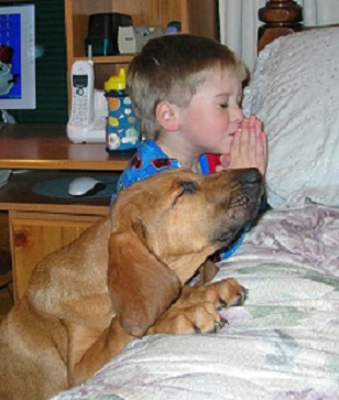 Post image for <h3 align=left><b><font color=red><h3 align=left><b><font color=red>7 Furious Prayers for November 2016</font></b></h3> </font></b></h3>